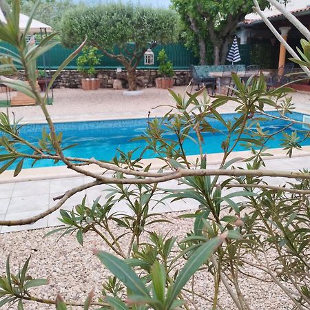 Villa Lucky Brtonigla Exterior photo