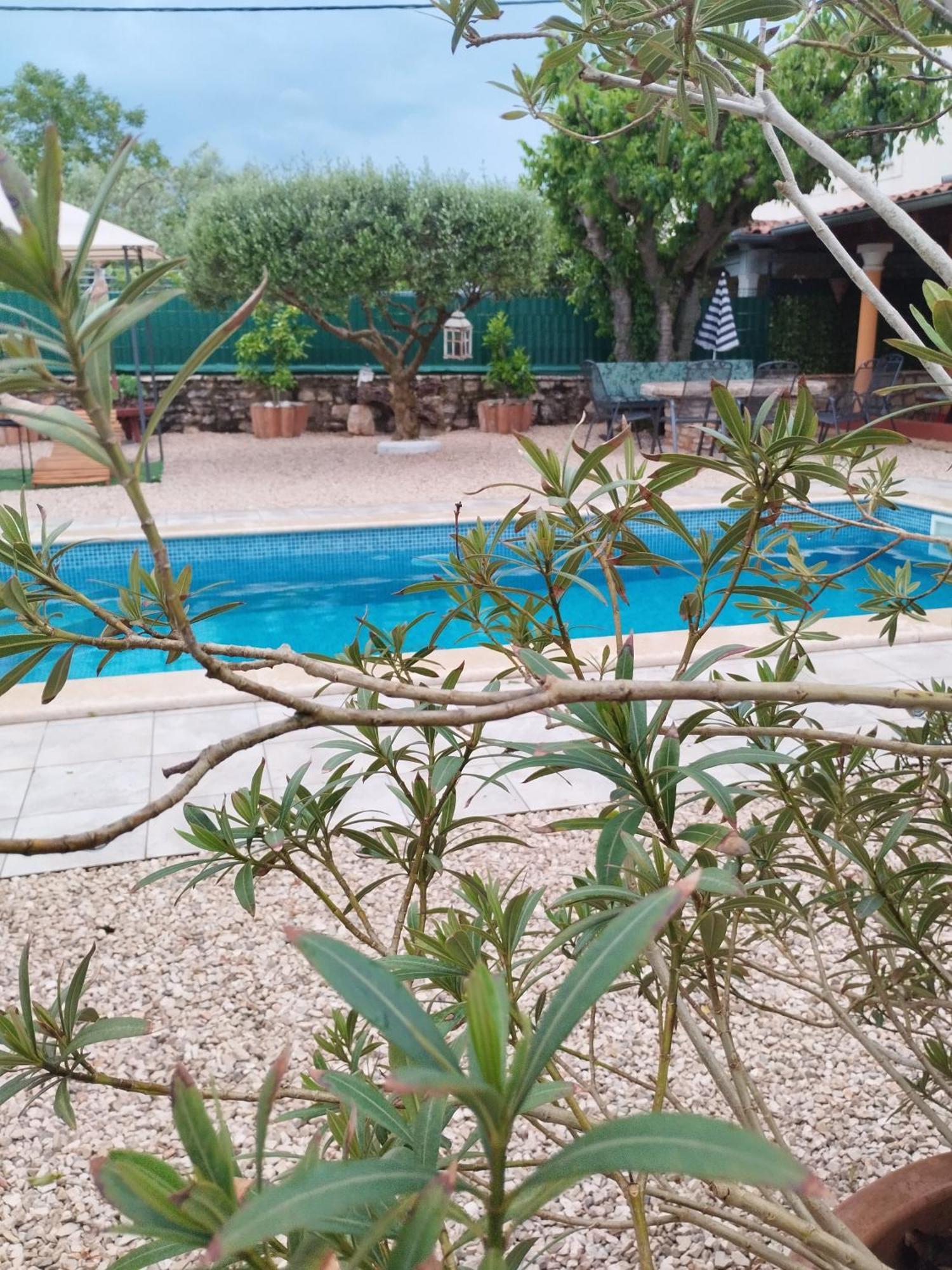 Villa Lucky Brtonigla Exterior photo